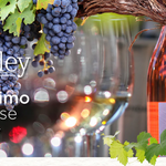 Celebration of Summer Solstice Wine and Cheese Tasting